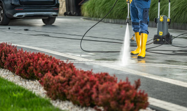 Best House Exterior Washing  in Alturas, FL